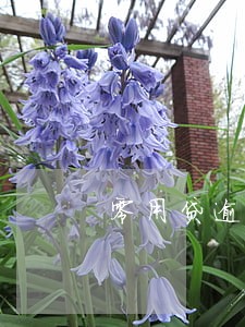 零用贷逾期三个小时