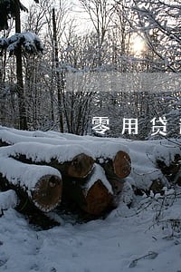 零用贷逾期可以报警吗