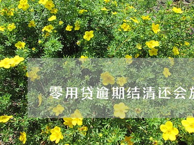 零用贷逾期结清还会放款吗 零用贷逾期结清还会放款吗
