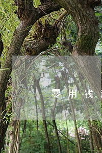 零用钱逾期两天
