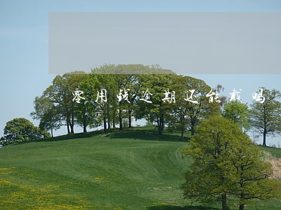零用钱逾期还能戴吗
