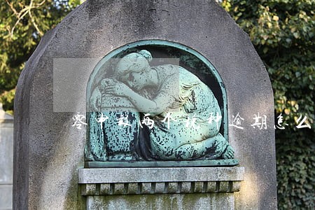 零申报两个税种逾期怎么处理