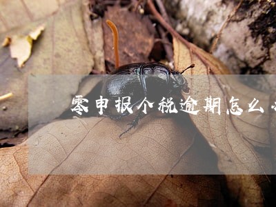 零申报个税逾期怎么办