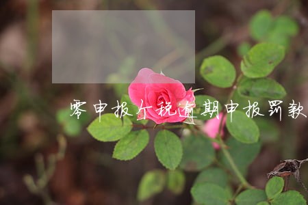 零申报个税逾期申报罚款