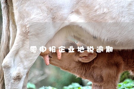 零申报企业地税逾期