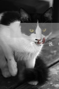 零申报印花税逾期申报罚款