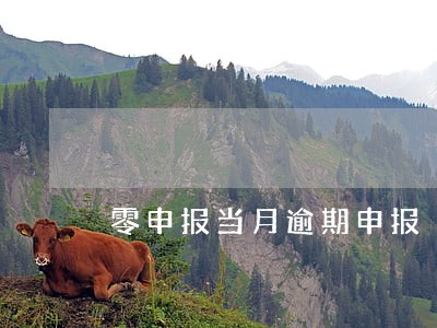 零申报当月逾期申报 零申报当月逾期申报