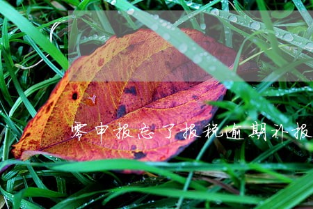 零申报忘了报税逾期补报罚款 零申报忘了报税逾期补报罚款