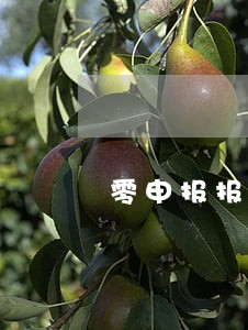 零申报报税逾期罚款多少 零申报报税逾期罚款多少