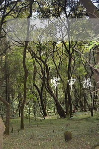 零申报报税逾期要交多少罚款 零申报报税逾期要交多少罚款