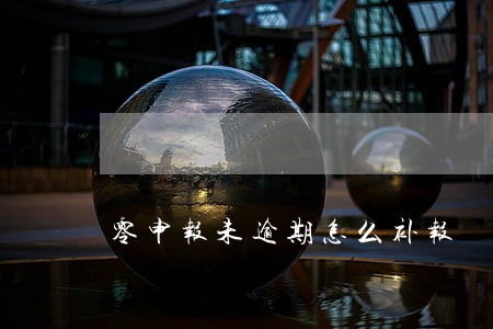 零申报未逾期怎么补报 零申报未逾期怎么补报