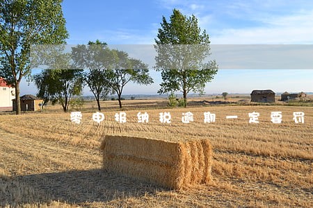 零申报纳税逾期一定要罚款吗 零申报纳税逾期一定要罚款吗
