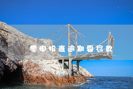 零申报表逾期要罚款 零申报表逾期要罚款