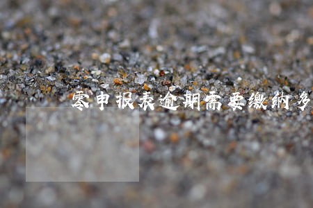 零申报表逾期需要缴纳多少罚款 零申报表逾期需要缴纳多少罚款