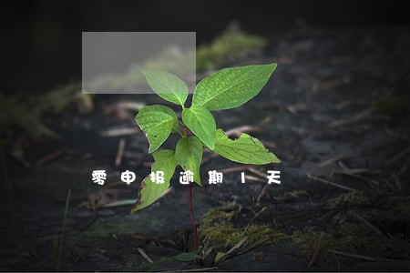 零申报逾期1天 零申报逾期1天