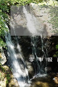 零申报逾期三年怎么办