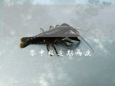 零申报逾期两次 零申报逾期两次