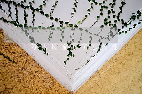 零申报逾期了怎么弄 零申报逾期了怎么弄