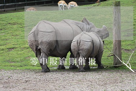 零申报逾期催报 零申报逾期催报