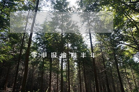 零申报逾期半年 零申报逾期半年