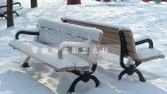 零申报逾期怎么补 零申报逾期怎么补