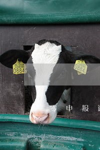 零申报逾期报税后果 零申报逾期报税后果