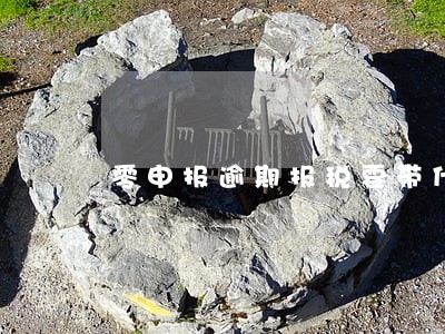 零申报逾期报税要带什么材料 零申报逾期报税要带什么材料