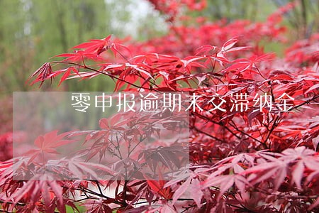 零申报逾期未交滞纳金 零申报逾期未交滞纳金