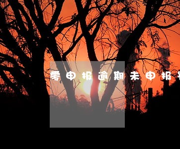 零申报逾期未申报罚款吗 零申报逾期未申报罚款吗