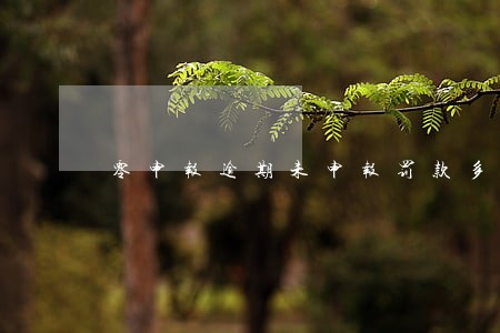 零申报逾期未申报罚款多少
