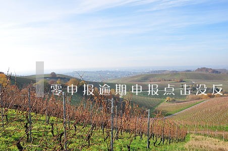 零申报逾期申报点击没反应 零申报逾期申报点击没反应