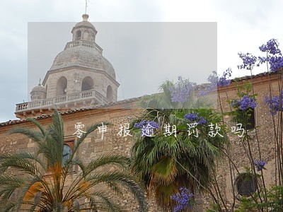 零申报逾期罚款吗 零申报逾期罚款吗