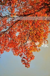 零申报逾期罚款怎么算 零申报逾期罚款怎么算