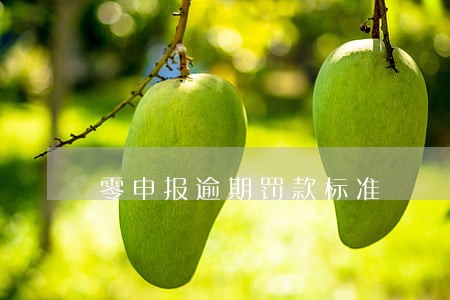 零申报逾期罚款标准 零申报逾期罚款标准