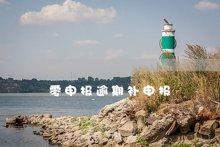 零申报逾期补申报 零申报逾期补申报
