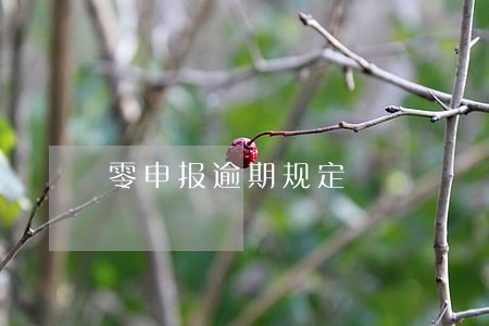 零申报逾期规定 零申报逾期规定