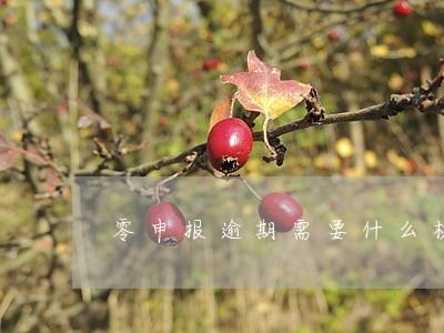 零申报逾期需要什么材料 零申报逾期需要什么材料