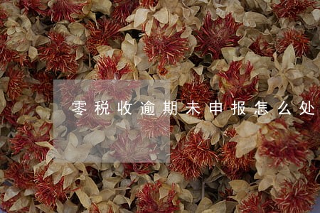 零税收逾期未申报怎么处理 零税收逾期未申报怎么处理