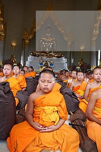 零税款申报逾期几天后怎么处理 零税款申报逾期几天后怎么处理