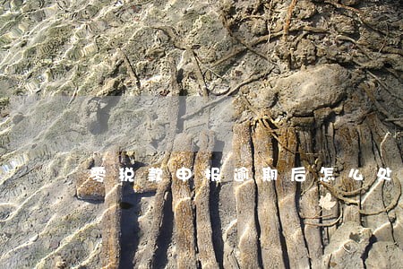 零税款申报逾期后怎么处理 零税款申报逾期后怎么处理
