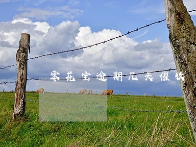 零花宝逾期几天催收 零花宝逾期几天催收