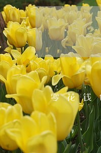 零花钱包app逾期 零花钱包app逾期