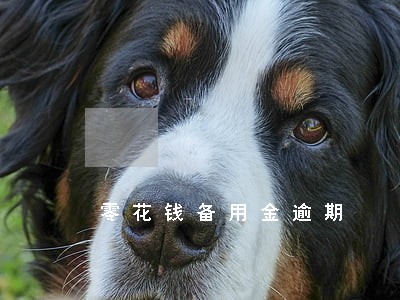 零花钱备用金逾期 零花钱备用金逾期