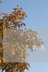 零钱包逾期是什么意思 零钱包逾期是什么意思