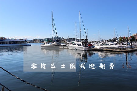 零钱巴士能减逾期费 零钱巴士能减逾期费