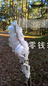 零钱袋子逾期爆通讯录 零钱袋子逾期爆通讯录