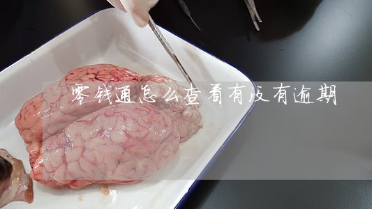 零钱通怎么查看有没有逾期 零钱通怎么查看有没有逾期