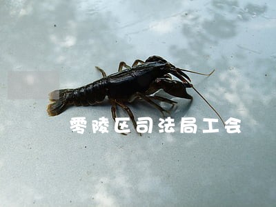 零陵区司法局工会