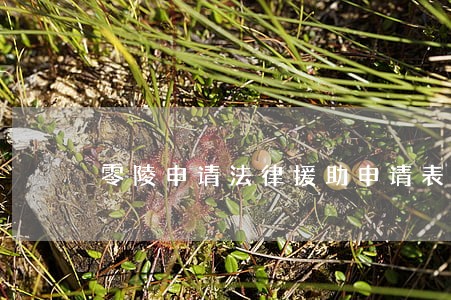 零陵申请法律援助申请表