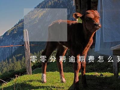 零零分期逾期费怎么算